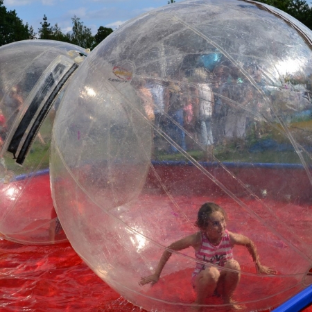 Wyświetl org. rozmiar