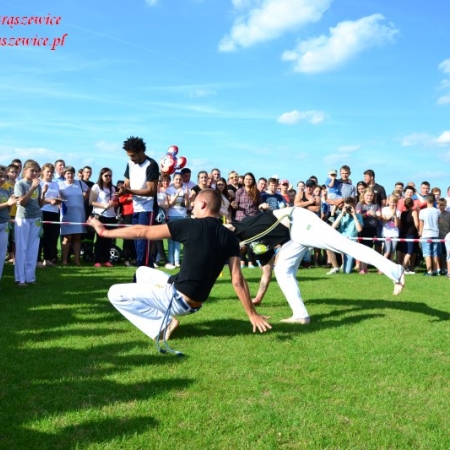 Wyświetl org. rozmiar