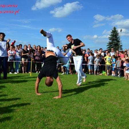 Wyświetl org. rozmiar