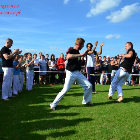 Wyświetl org. rozmiar