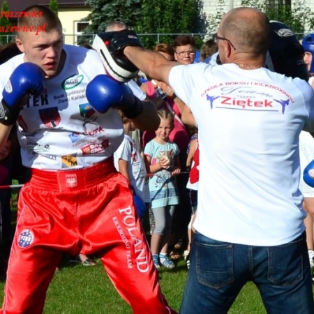 Wyświetl org. rozmiar