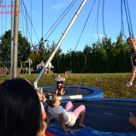 Wyświetl org. rozmiar