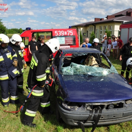 Wyświetl org. rozmiar