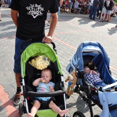 Wyświetl org. rozmiar