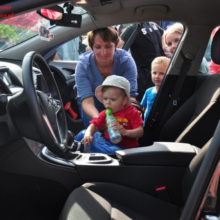 Wyświetl org. rozmiar