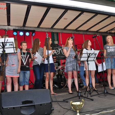 Wyświetl org. rozmiar