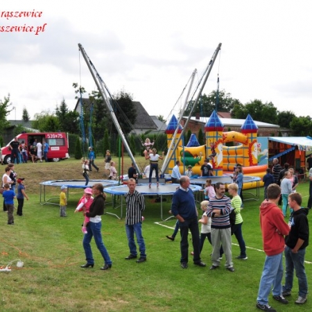 Wyświetl org. rozmiar