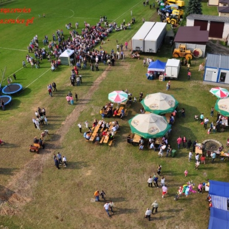 Wyświetl org. rozmiar