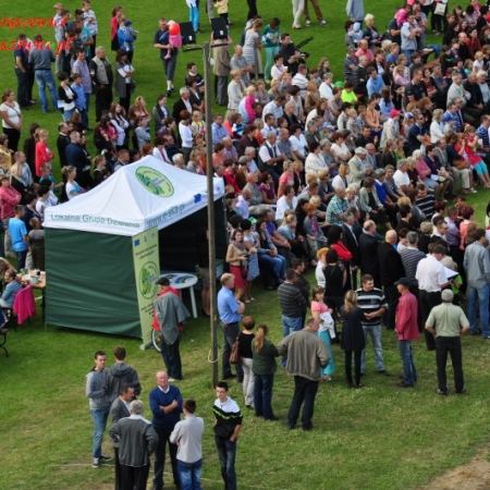 Wyświetl org. rozmiar