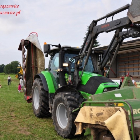 Wyświetl org. rozmiar