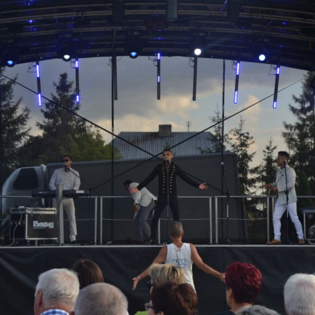 Wyświetl org. rozmiar