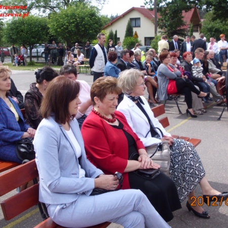 Wyświetl org. rozmiar