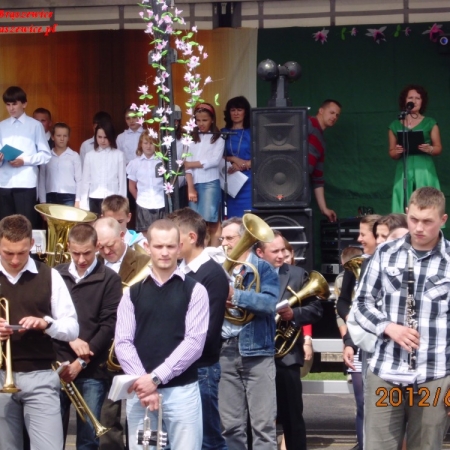 Wyświetl org. rozmiar