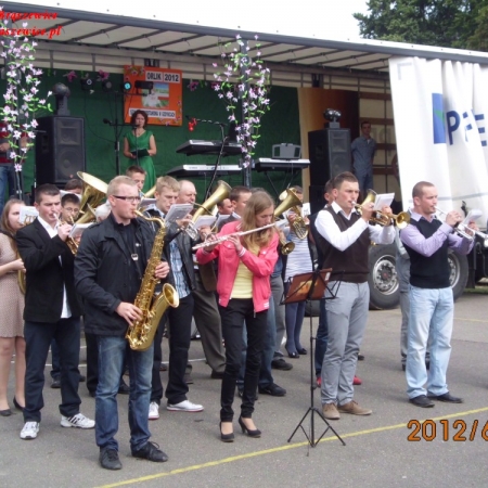 Wyświetl org. rozmiar