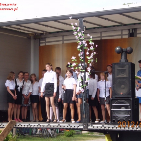 Wyświetl org. rozmiar