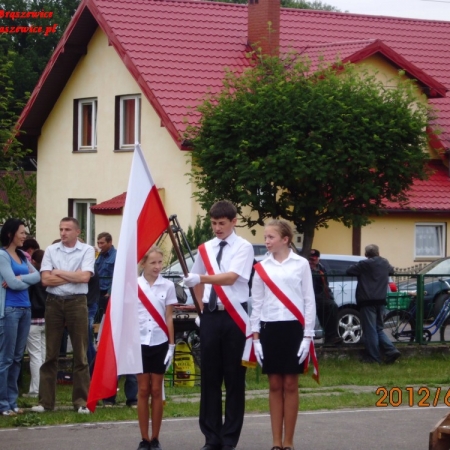 Wyświetl org. rozmiar