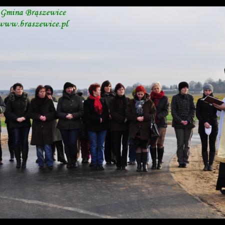 Wyświetl org. rozmiar