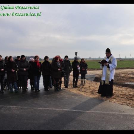 Wyświetl org. rozmiar