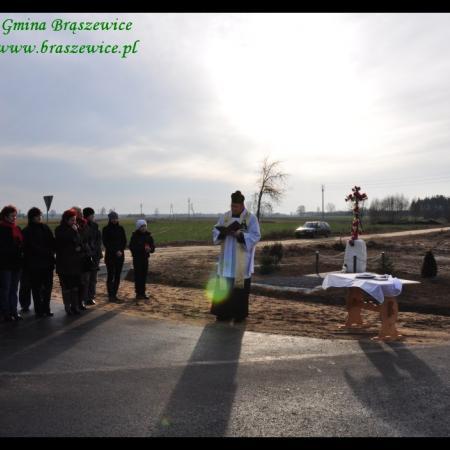 Wyświetl org. rozmiar