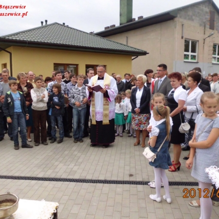 Wyświetl org. rozmiar