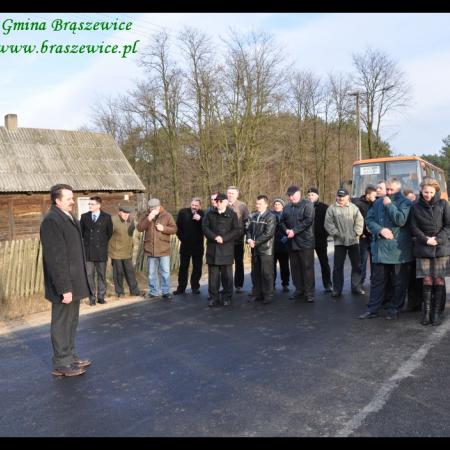 Wyświetl org. rozmiar