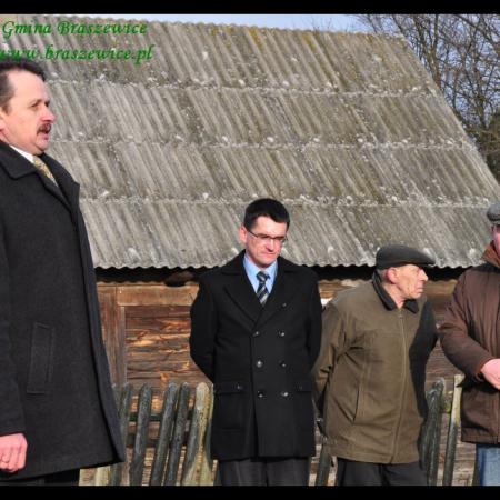 Wyświetl org. rozmiar