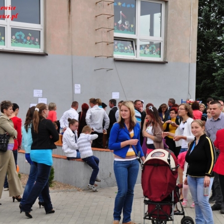 Wyświetl org. rozmiar