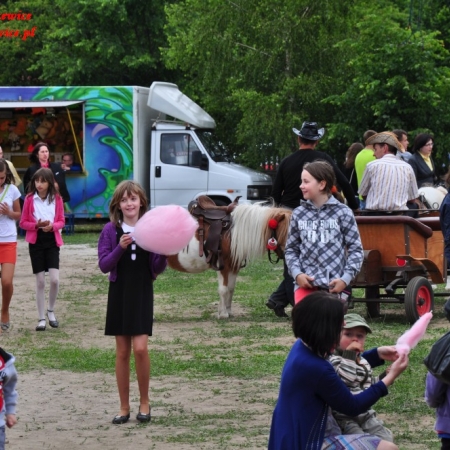 Wyświetl org. rozmiar