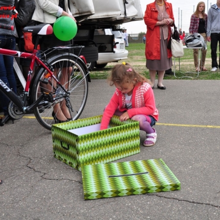 Wyświetl org. rozmiar