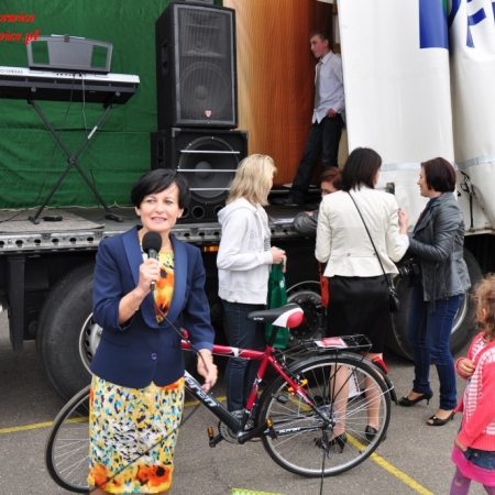 Wyświetl org. rozmiar