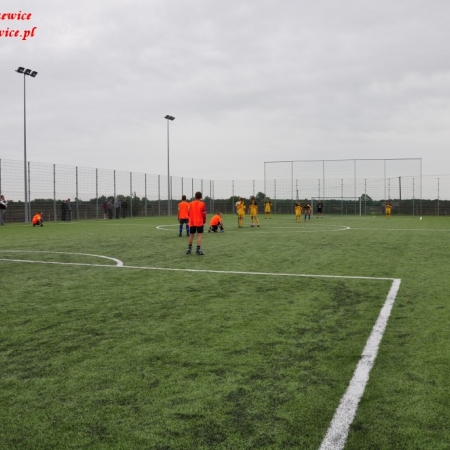 Wyświetl org. rozmiar