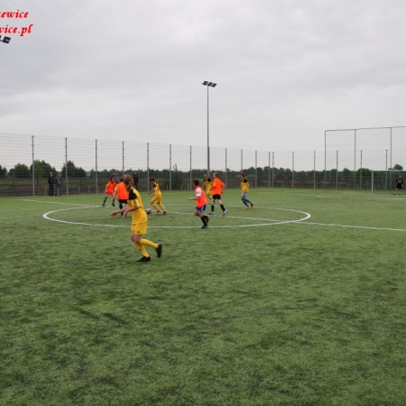 Wyświetl org. rozmiar