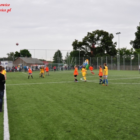 Wyświetl org. rozmiar