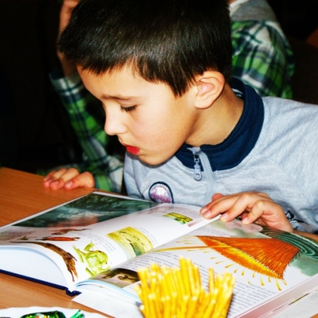 Wyświetl org. rozmiar