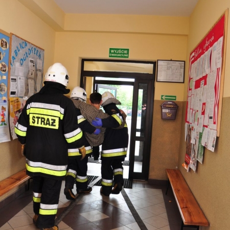 Wyświetl org. rozmiar