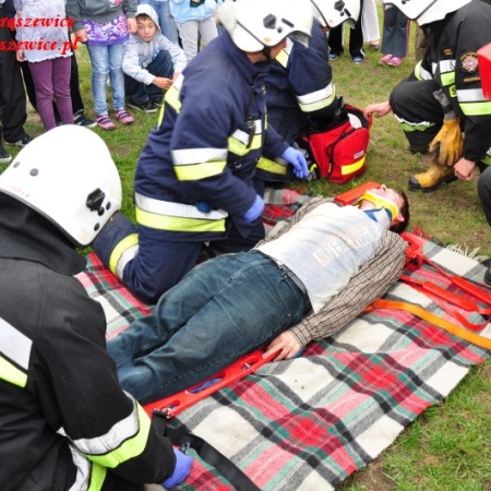 Wyświetl org. rozmiar