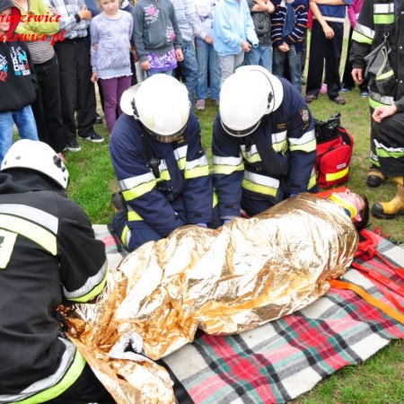 Wyświetl org. rozmiar