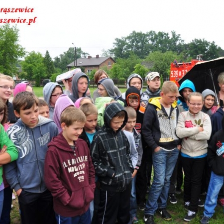 Wyświetl org. rozmiar