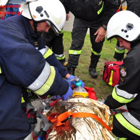 Wyświetl org. rozmiar