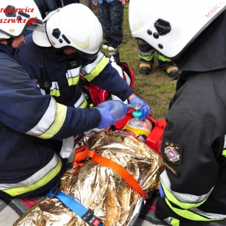 Wyświetl org. rozmiar