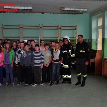 Wyświetl org. rozmiar