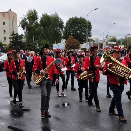 Wyświetl org. rozmiar