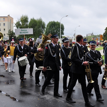 Wyświetl org. rozmiar