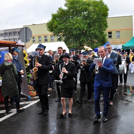 Wyświetl org. rozmiar