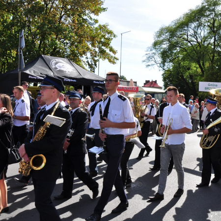 Wyświetl org. rozmiar