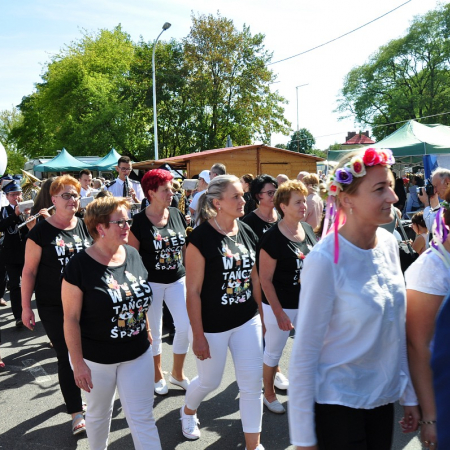 Wyświetl org. rozmiar