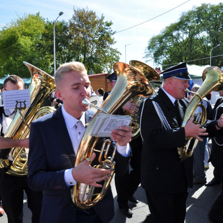 Wyświetl org. rozmiar