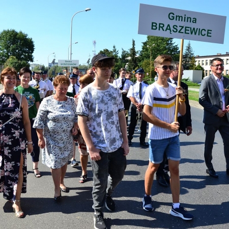 Wyświetl org. rozmiar