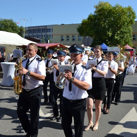 Wyświetl org. rozmiar