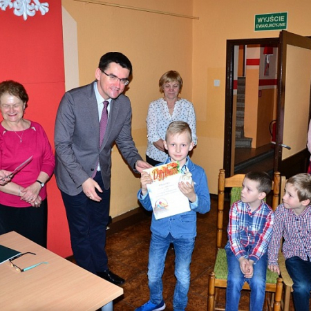 Wyświetl org. rozmiar